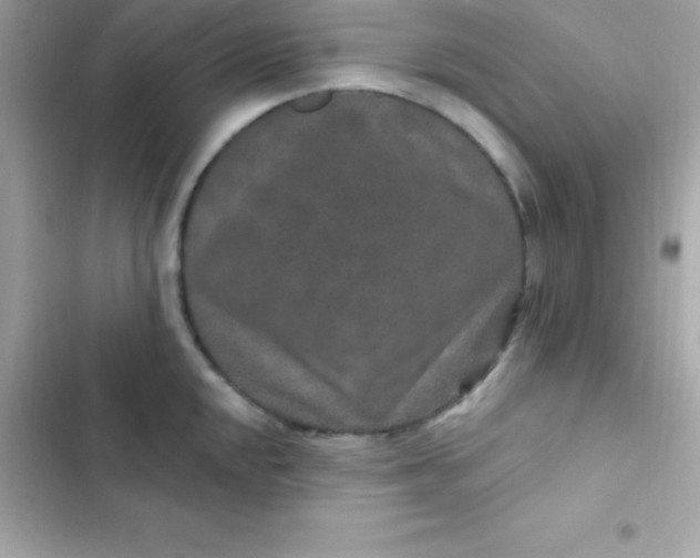 X0000103321048200809192135