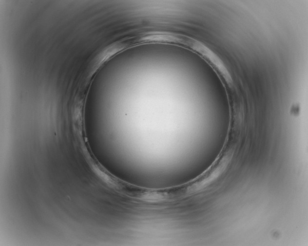 X0000103321049200809192136