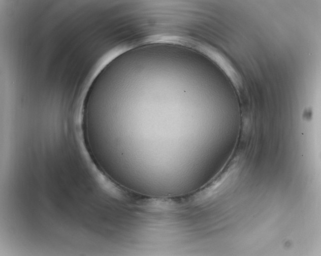 X0000103321050200809192136