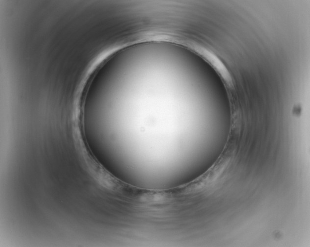 X0000103321051200809192136