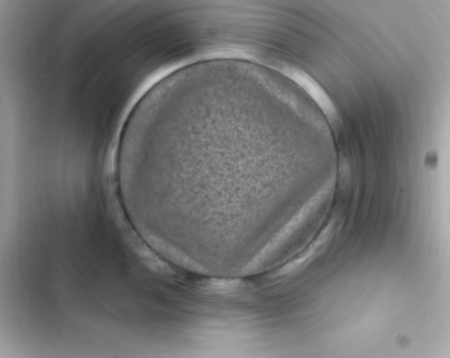 X0000103321052200809192136