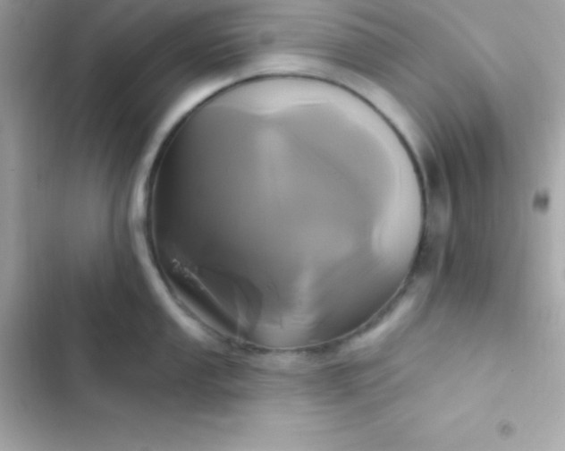 X0000103321053200809192136