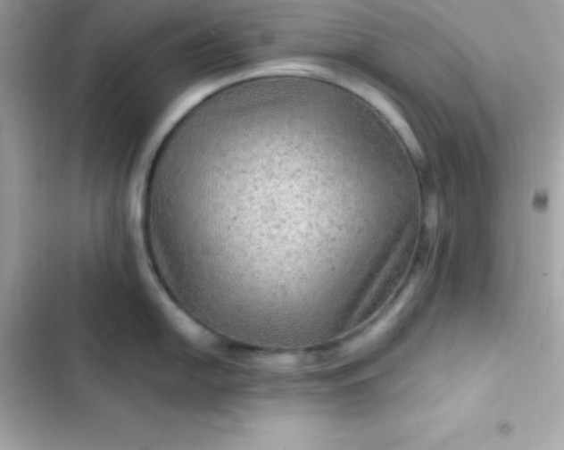 X0000103321054200809192136