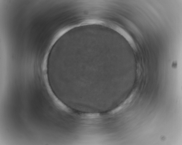 X0000103321055200809192136