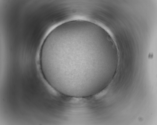 X0000103321056200809192136