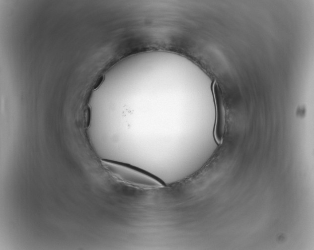 X0000103321057200809192135