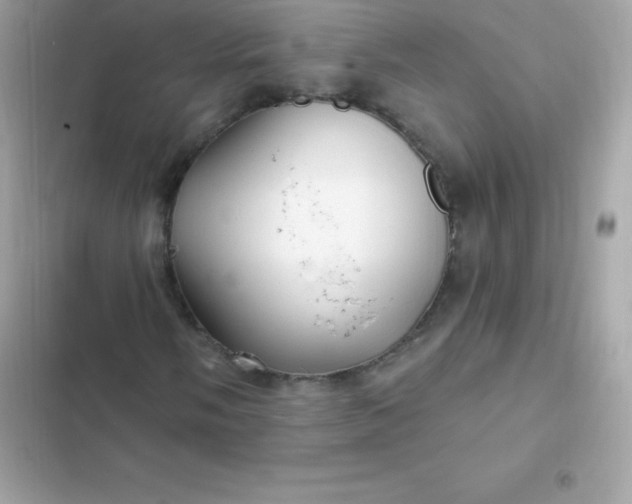 X0000103321058200809192135