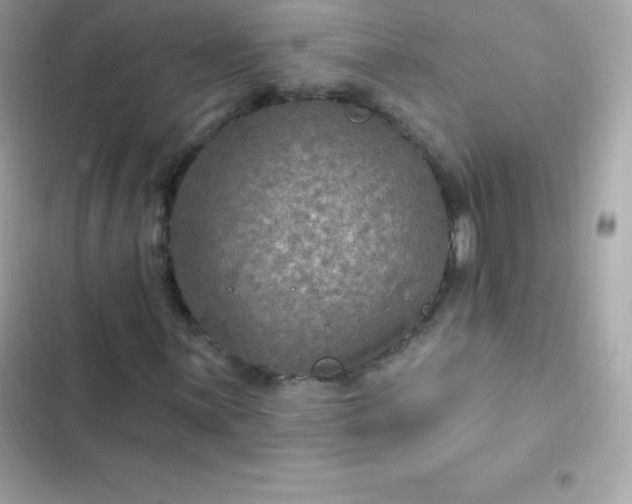 X0000103321059200809192135