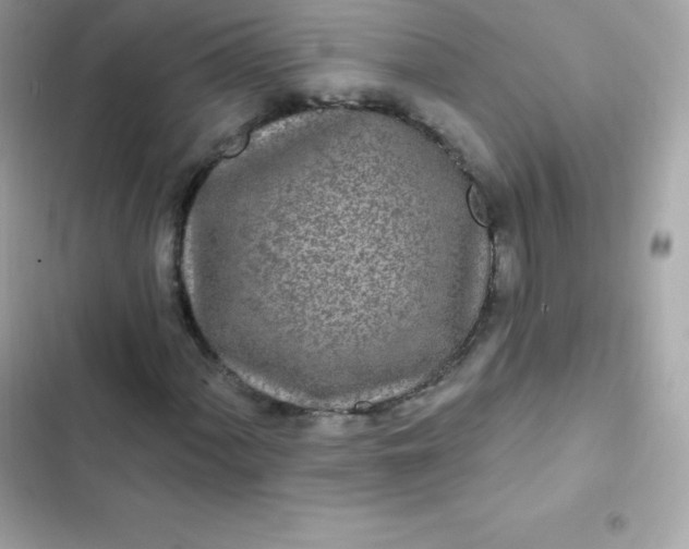 X0000103321060200809192135