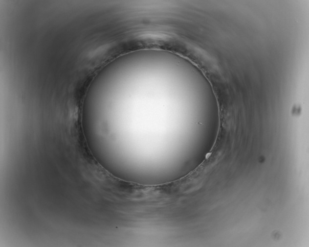 X0000103321061200809192135