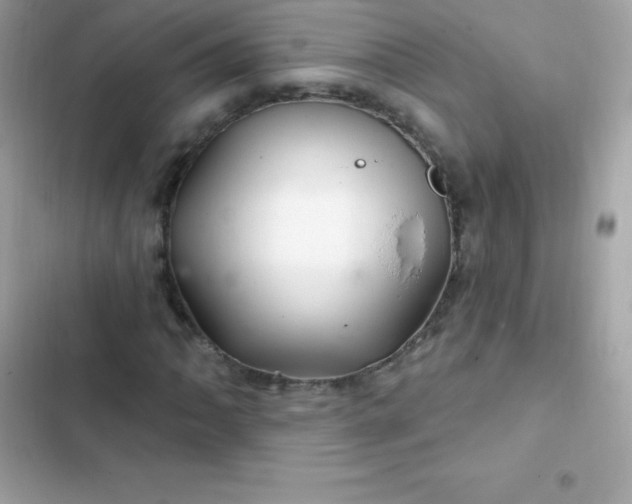 X0000103321062200809192135