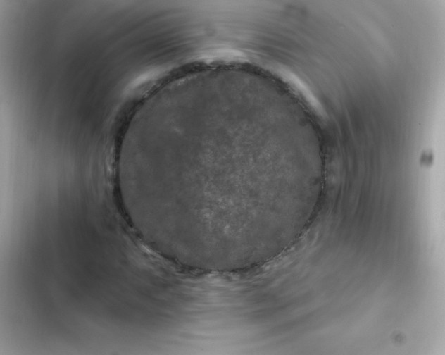 X0000103321063200809192135