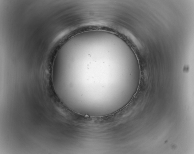 X0000103321064200809192135