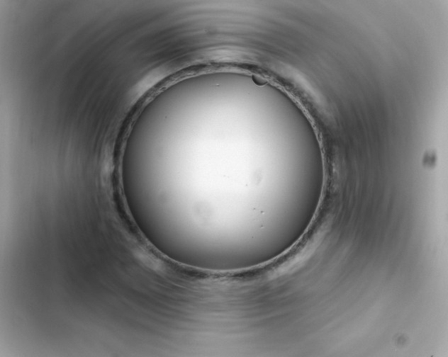 X0000103321065200809192135