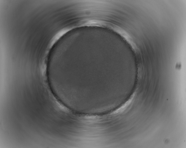 X0000103321066200809192135