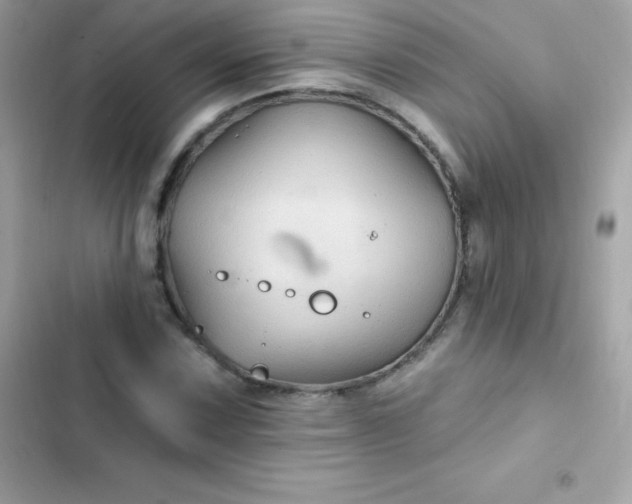 X0000103321067200809192135