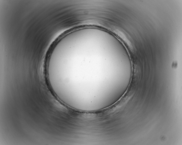 X0000103321068200809192135