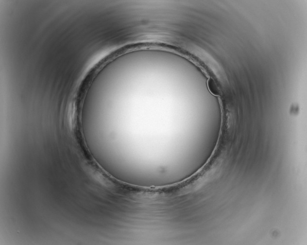 X0000103321069200809192134