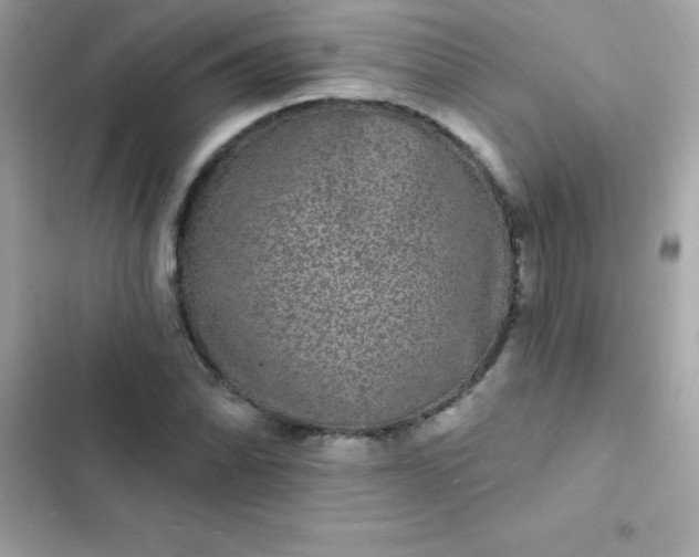 X0000103321070200809192134