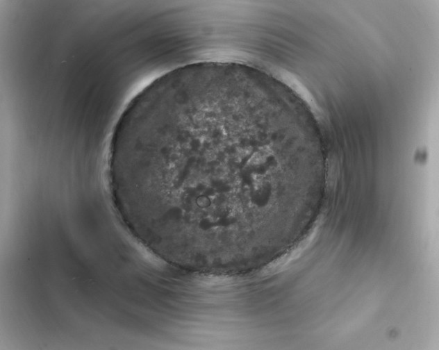 X0000103321071200809192134