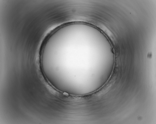 X0000103321072200809192134