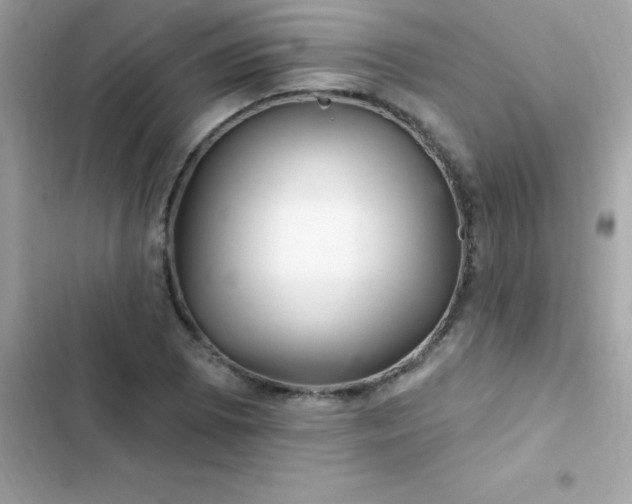 X0000103321073200809192134