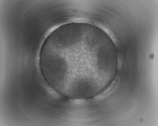 X0000103321074200809192134