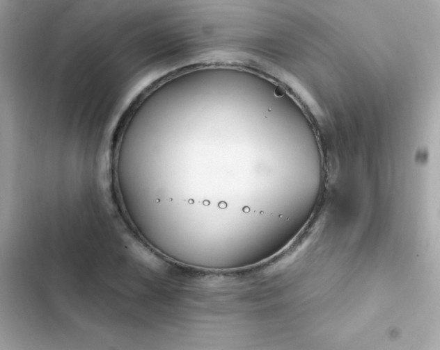 X0000103321075200809192134