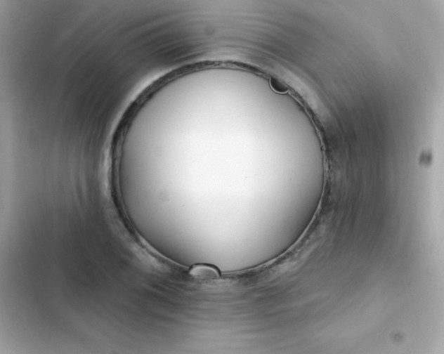 X0000103321076200809192134