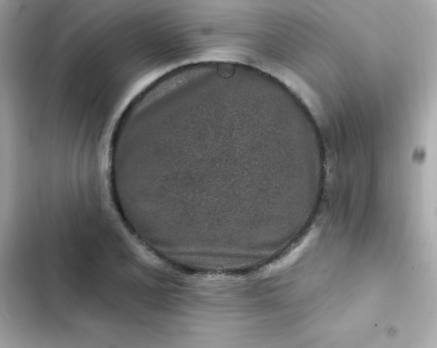 X0000103321077200809192134