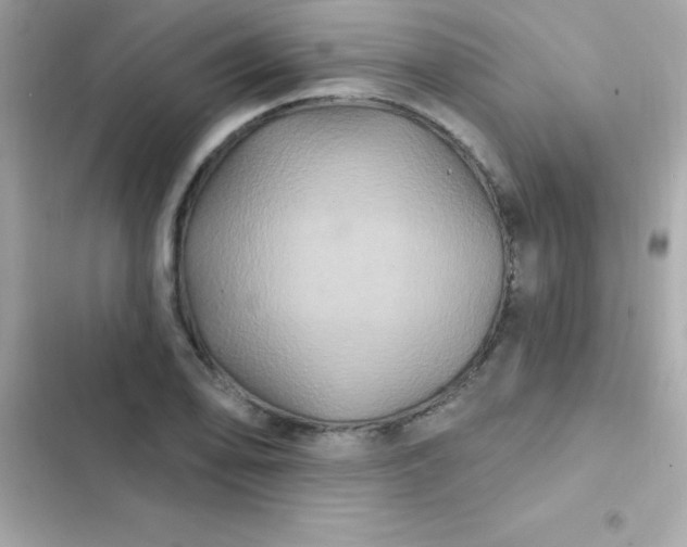 X0000103321078200809192134