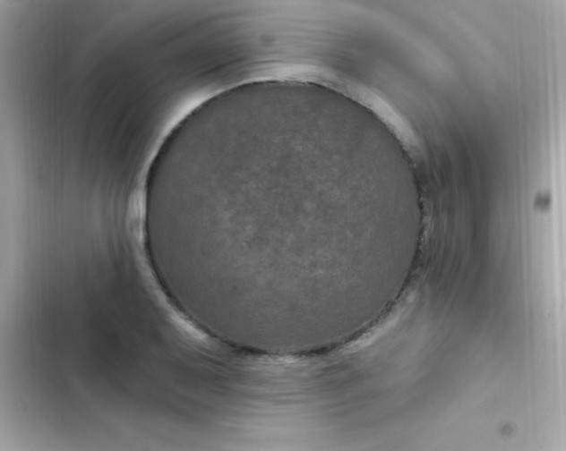 X0000103321079200809192134