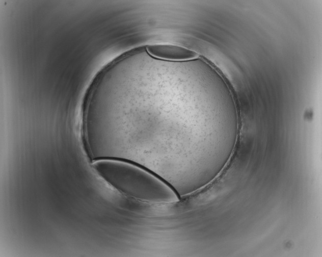 X0000103321080200809192134