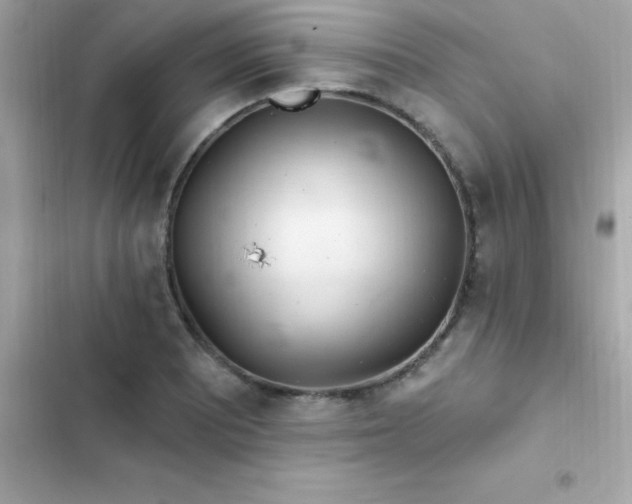 X0000103321081200809192134