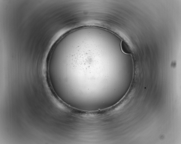 X0000103321082200809192134