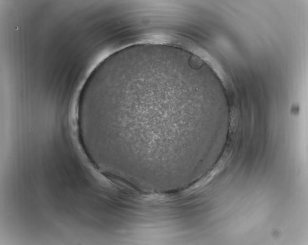 X0000103321083200809192134