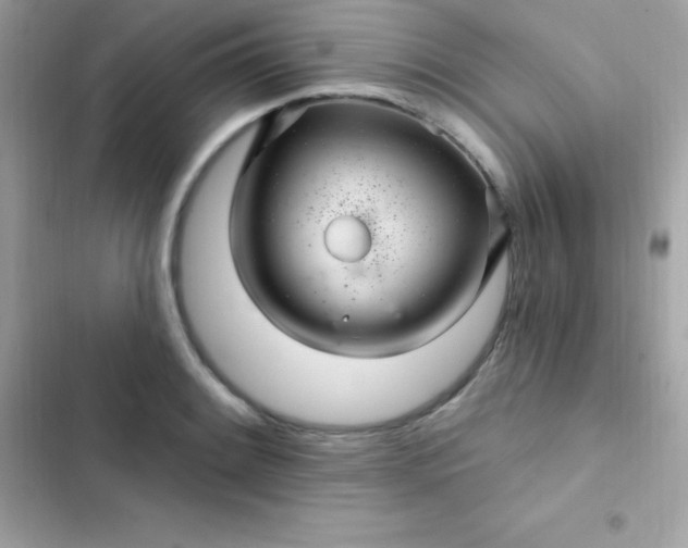 X0000103321084200809192134