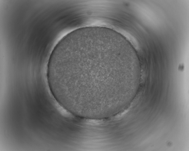 X0000103321086200809192134