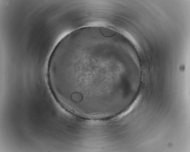 X0000103321087200809192134