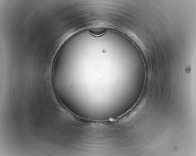 X0000103321089200809192134