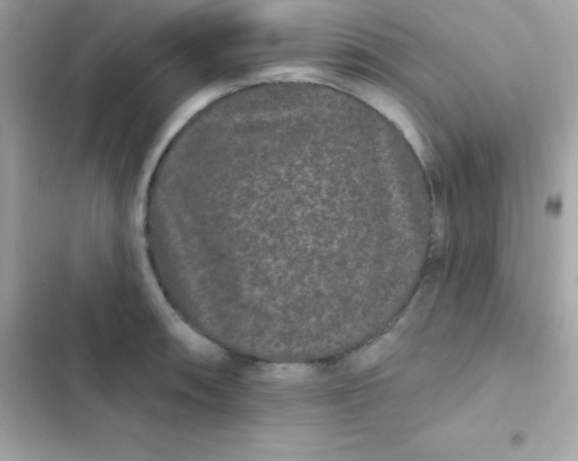 X0000103321090200809192134