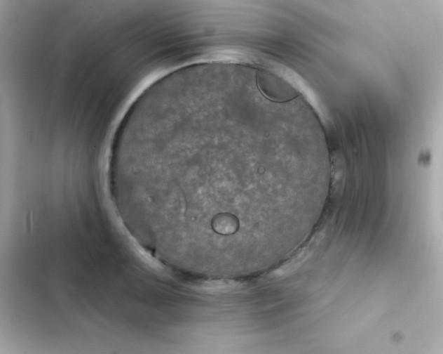 X0000103321091200809192134