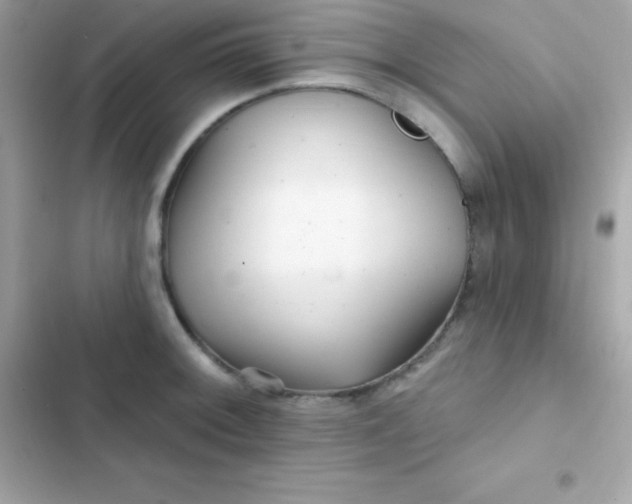 X0000103321092200809192134