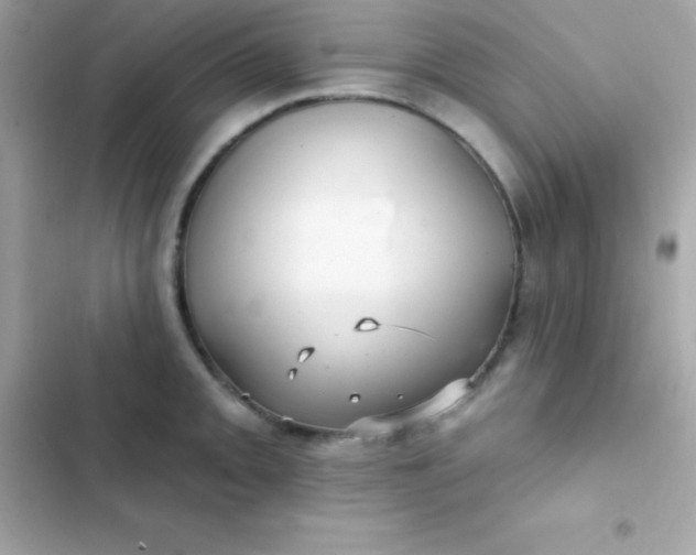 X0000103321093200809192134