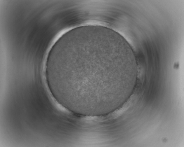 X0000103321094200809192134