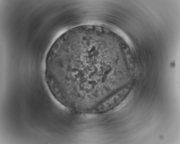 X0000103321095200809192134