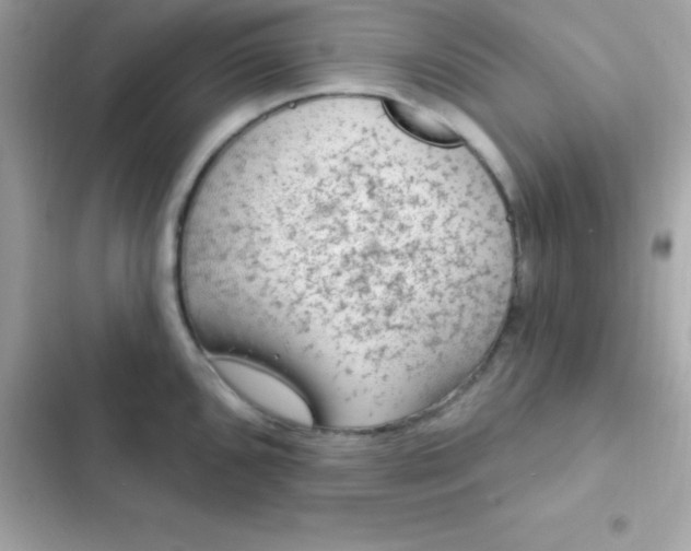 X0000103321096200809192134