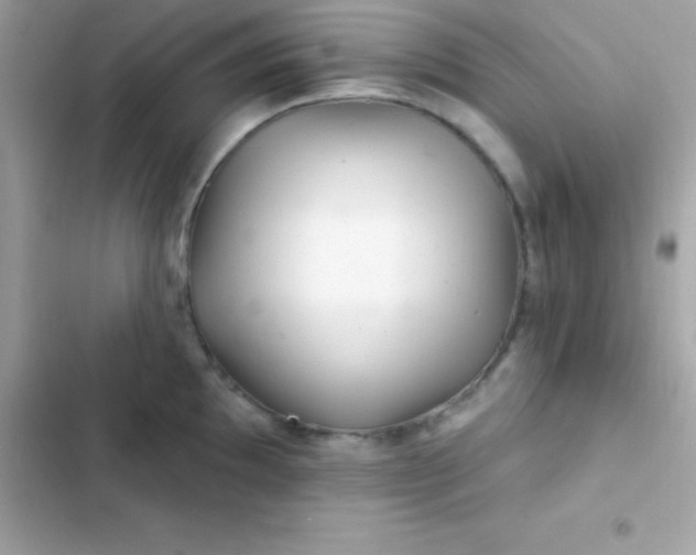 X0000103321097200809192134