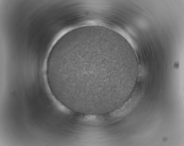 X0000103321098200809192134