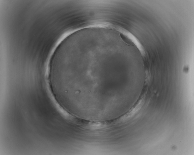 X0000103321099200809192134